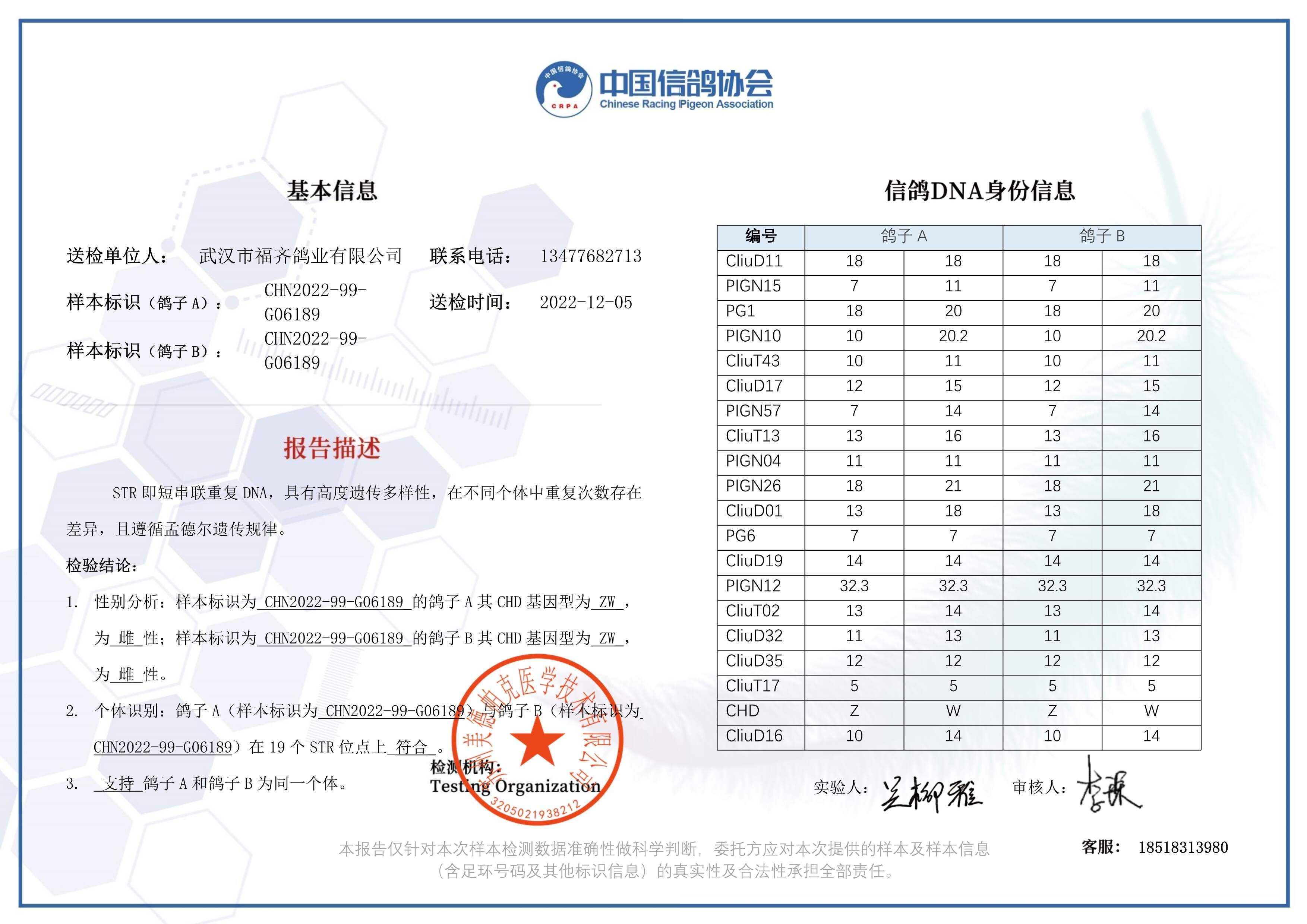 雄鹰客户端怎么充值手游充值打折平台哪个好-第2张图片-太平洋在线下载