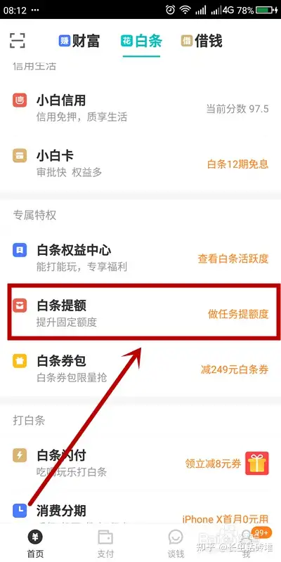 58白条苹果版哪个平台可以套白条